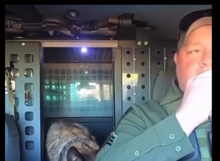Officer and K9