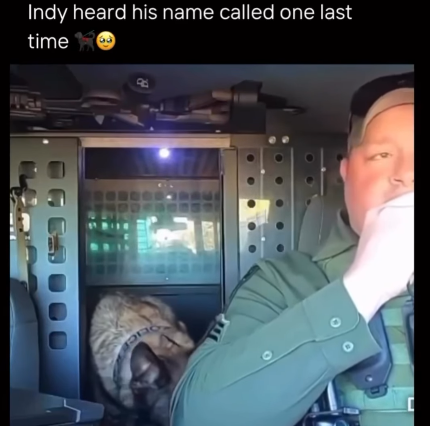 Officer and K9