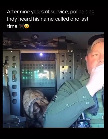 Officer and K9