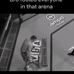 UFC Cage