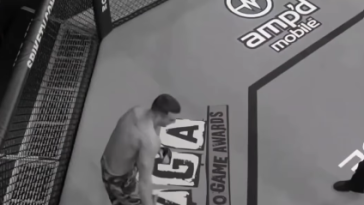 UFC Cage