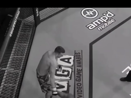 UFC Cage